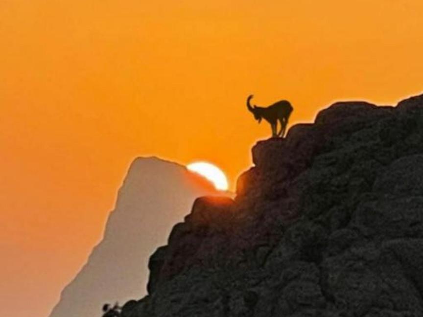 Misfāh Jabal Shams Bayt Kawakibヴィラ エクステリア 写真